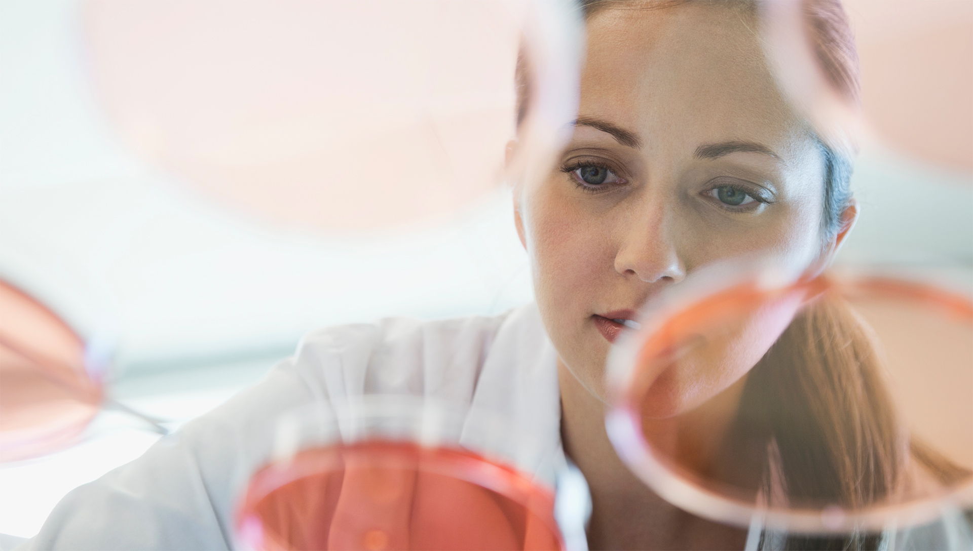 Person looking at Petri dishes